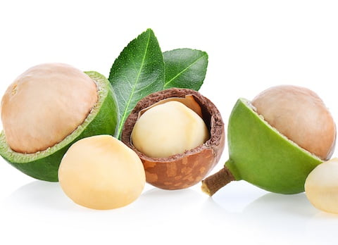 macadamia nuts